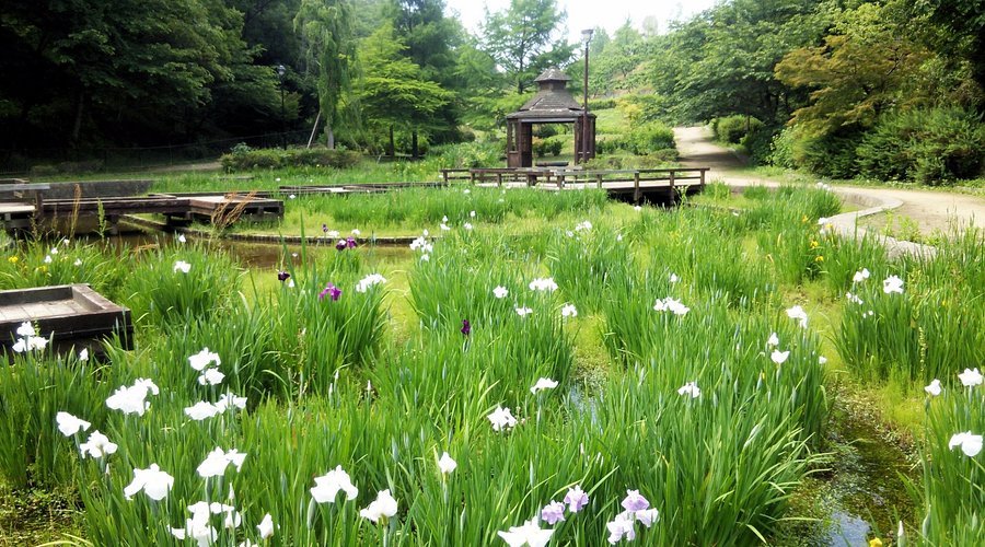 🏞️ 타라가이케 공원 (테라가이케 코엔) 이미지 7